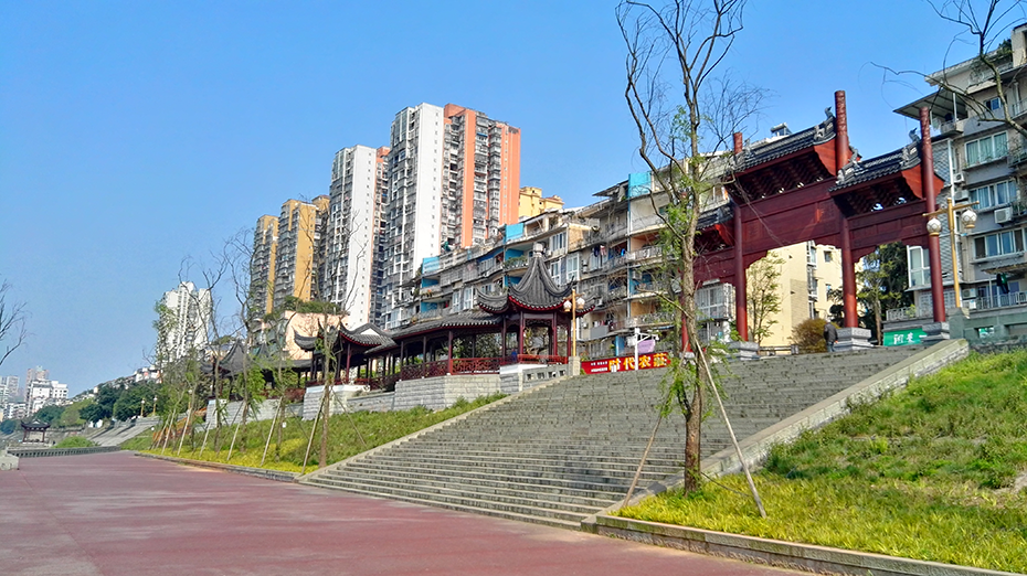 2026世界杯园林绿化维护